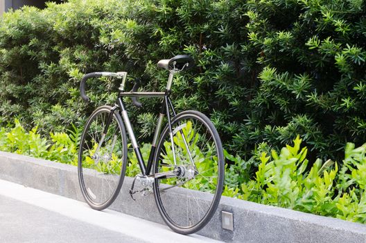 Race road bike with tree in the background