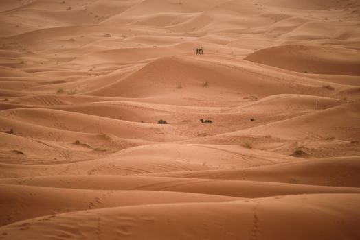 Sand dunes in the Sahara Desert, Erg Chebbi, Merzouga, Morocco