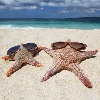 Starfish with sunglasses on sand of tropical beach at Philippines