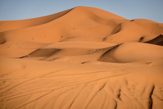 Sand dunes in the Sahara Desert, Erg Chebbi, Merzouga, Morocco