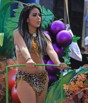 A dancer performing at a parade during a carnaval in Veracruz, Mexico 07 Feb 2016 No model release Editorial use only