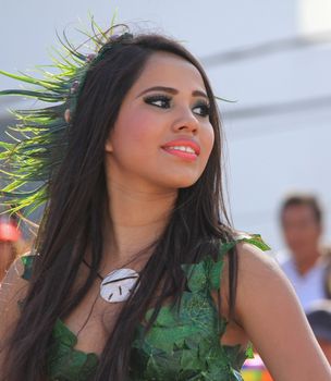 A dancer performing at a parade during a carnaval in Veracruz, Mexico 07 Feb 2016 No model release Editorial use only