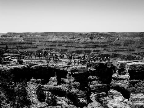 At Grand Canyon national park,USA in black and white