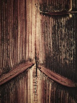 abstract background or texture old aged wooden board