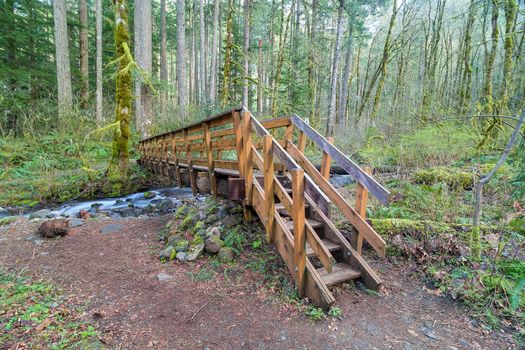 Wood Bridge over Dry Creek in Pacific Crest Trail in Columbia River Gorge Oregon