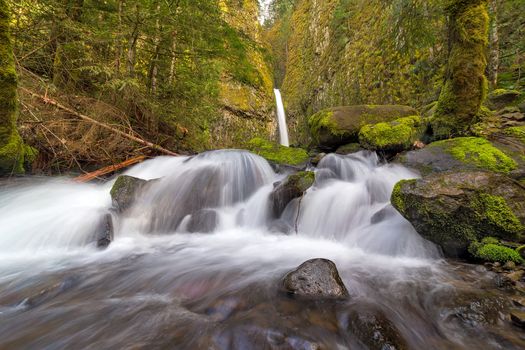 Below Dry Creek Falls along Pacific Crest Trail in Columbia River Gorge Oregon