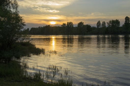 beach on the river at sunset with trees