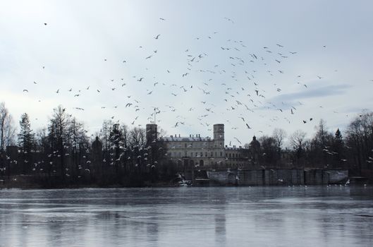 Gatchina Palace and the White Lake in the spring, in March 2016. Leningrad Region, Gatchina park.