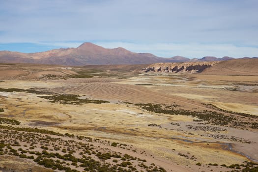 Large open plain created by the River Lauca in Lauca National Park, high up in the Altiplano of northern Chile. The area is used by local people for grazing Alpaca and Llama.