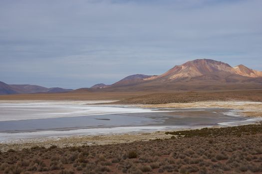 Salar de Surire, a salt lake over 4,000 metres high on the Altiplano of northern Chile in Vicunas National Park.