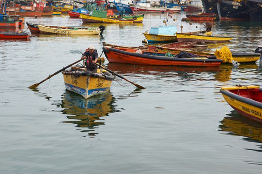 Busy fishing harbour of Arica in Northern Chile early in the morning.