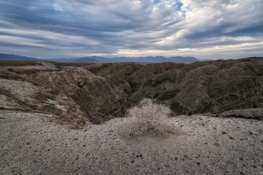 Desert Landscape in the Anza-Borrego Desert, California,  USA