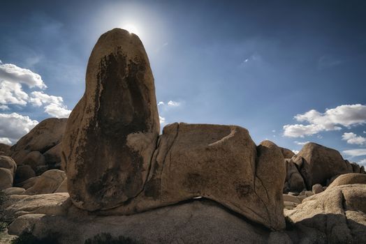 Landscape at Joshua Tree National Park, California