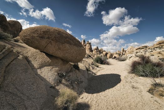 Landscape at Joshua Tree National Park, California