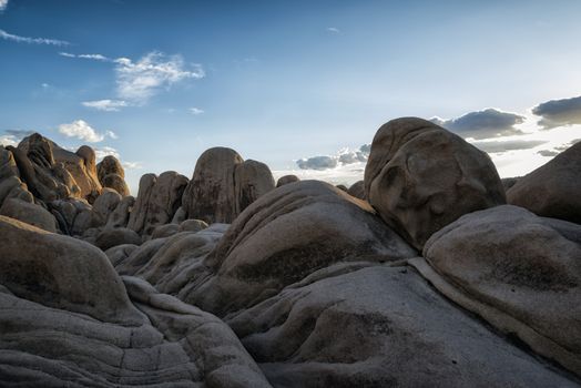 Landscape at Joshua Tree National Park, California