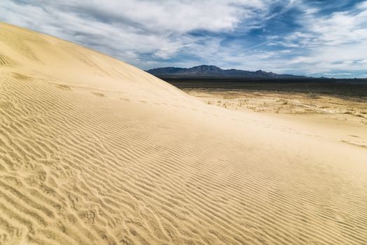 Sand Dunes in the Mojave Desert, California