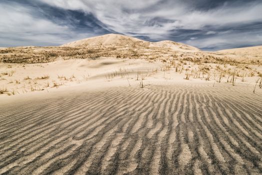 Sand Dunes in the Mojave Desert, California