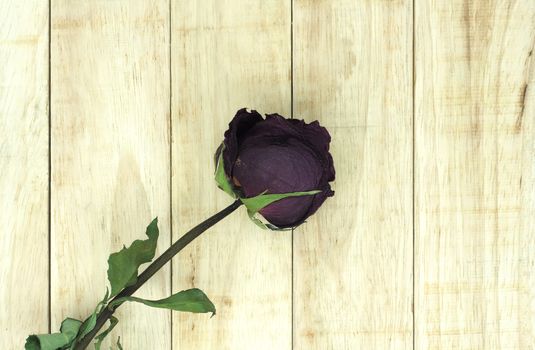 Dry roses on wood pattern background