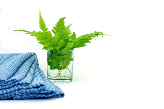 Green leaves in glass of water with blue cloth on white background