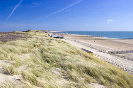 the dunes, Zoutelande, the Netherlands