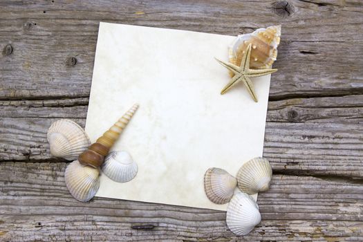 blank paper on wooden background with seashells