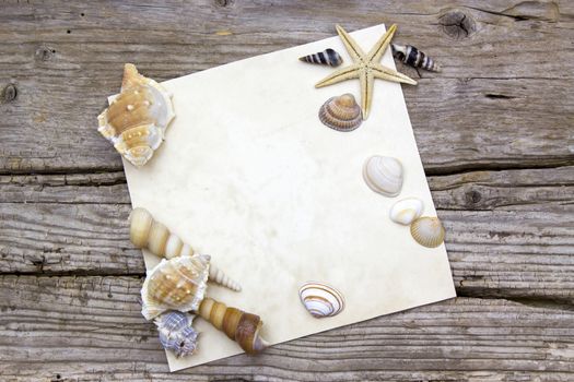 blank paper on wooden background with seashells