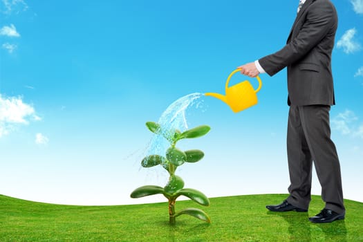Businessman watering plant on green lawn, business concept