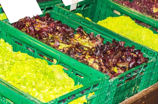 Different salads in plastic containers at a farmers market.