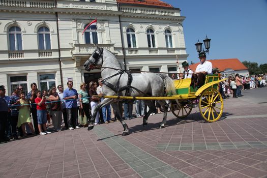 Horse and wedding wagon show during Dakovo vezovi (Dakovo Summer Festival) on July 05, 2009 in Dakovo, Croatia