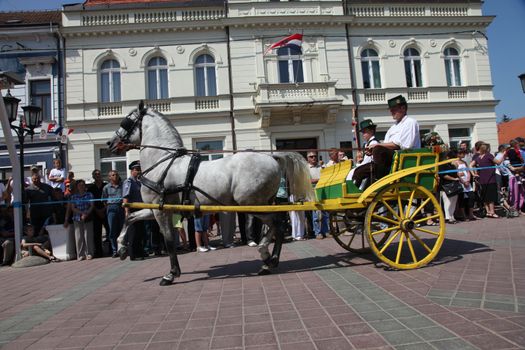 Horse and wedding wagon show during Dakovo vezovi (Dakovo Summer Festival) on July 05, 2009 in Dakovo, Croatia