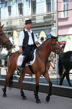 Horse and wedding wagon show during Dakovo vezovi (Dakovo Summer Festival) on July 05, 2009 in Dakovo, Croatia