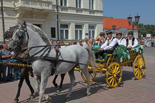Horse and wedding wagon show during Dakovo vezovi (Dakovo Summer Festival) on July 05, 2009 in Dakovo, Croatia
