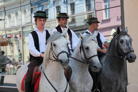 Horse and wedding wagon show during Dakovo vezovi (Dakovo Summer Festival) on July 05, 2009 in Dakovo, Croatia