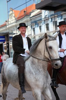 Horse and wedding wagon show during Dakovo vezovi (Dakovo Summer Festival) on July 05, 2009 in Dakovo, Croatia