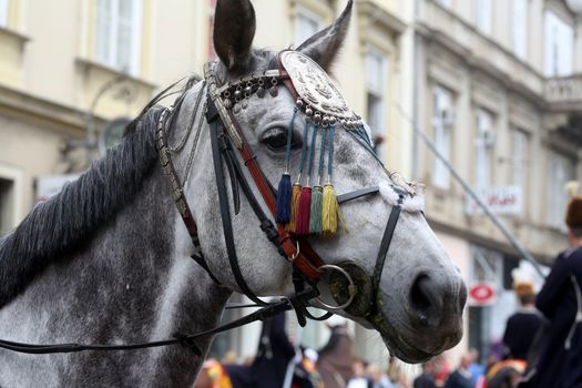 The parade of 70 participants, thirty horses and forty members of a brass band to the main square were announced next, 300th Sinjska Alka, on October 04, 2014 in Zagreb.