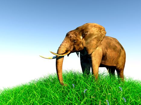 3d african elephant standing in the green grass with blue sky as a background