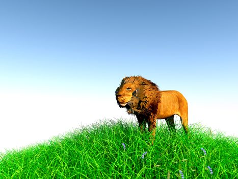 3d rendering of animal on grass with back light with high quality render