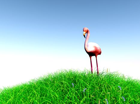 3d rendering of animal on grass with back light with high quality render