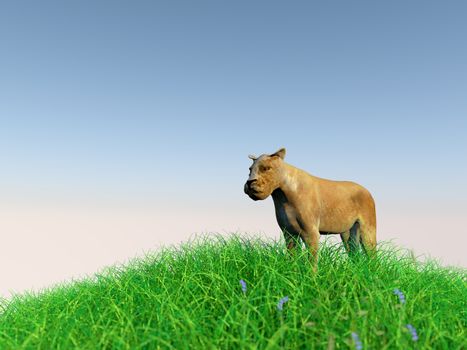 3d rendering of animal on grass with back light with high quality render