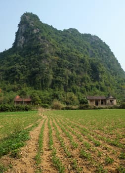 Two house at down of mountain at Bo Trach, Quang Binh, Viet Nam, home with agriculture farm, on amazing terrain at Vietnam countryside