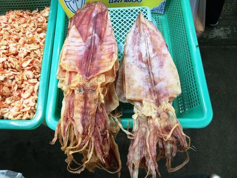 Big Dried Salted Squid and Shrimp