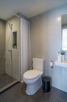 Modern Bathroom with Shower. Interior architecture
