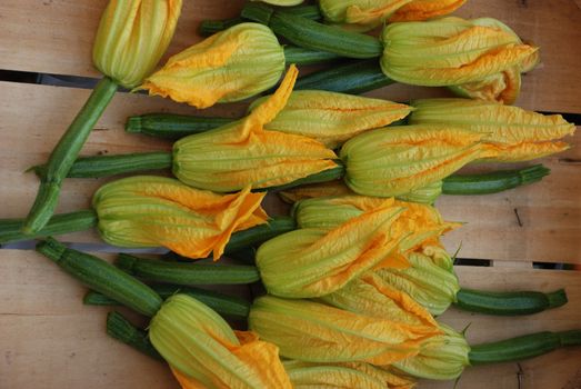 Zucchini with flowers on market