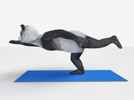 Panda shows yogic asana standing one leg stretched horizontally position. fluffy cute bear character in flying pose Superhero leaning forward standing blue sports mattress isolated white background