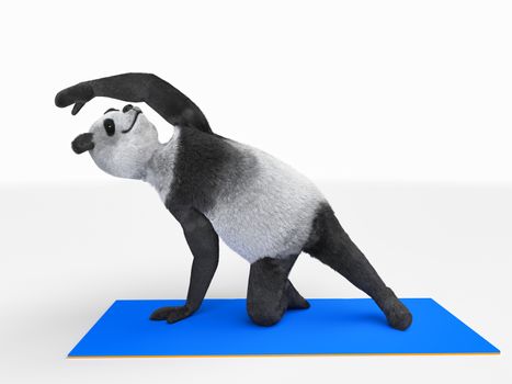 panda who lives healthy life exercise, yoga, stretching and strengthening health. protagonist engaged transverse stretching muscles torso, throwing back his paw white background isolated illustration