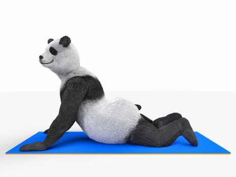 animal panda lies on blue mat elastic sport warm up pulls up neck, demonstrating exercises to strengthen spine and improve posture. character flexing shoulder girdle, lying on his stomach.