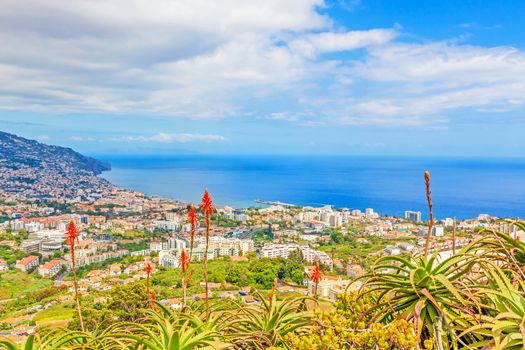 Funchal, Madeira - view over the capital city of the island towards harbor. View from Pico dos Barcelo - Atlantic Ocean in the background.