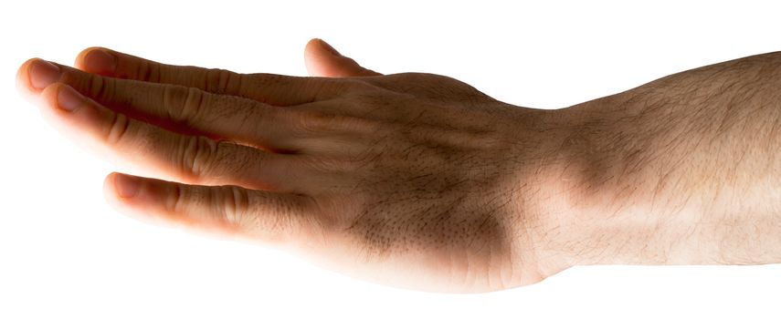 Human hand on isolated white background, closeup