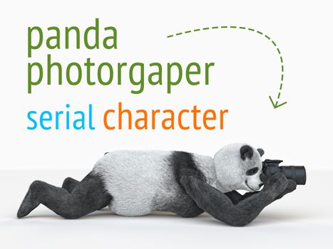 panda bear lying on an isolated background with camera in his paws ready to shoot low angle. centered character is photographer waits for right moment