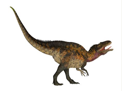Acrocanthosaurus was a theropod carnivorous dinosaur that lived in North America during the Cretaceous Period.